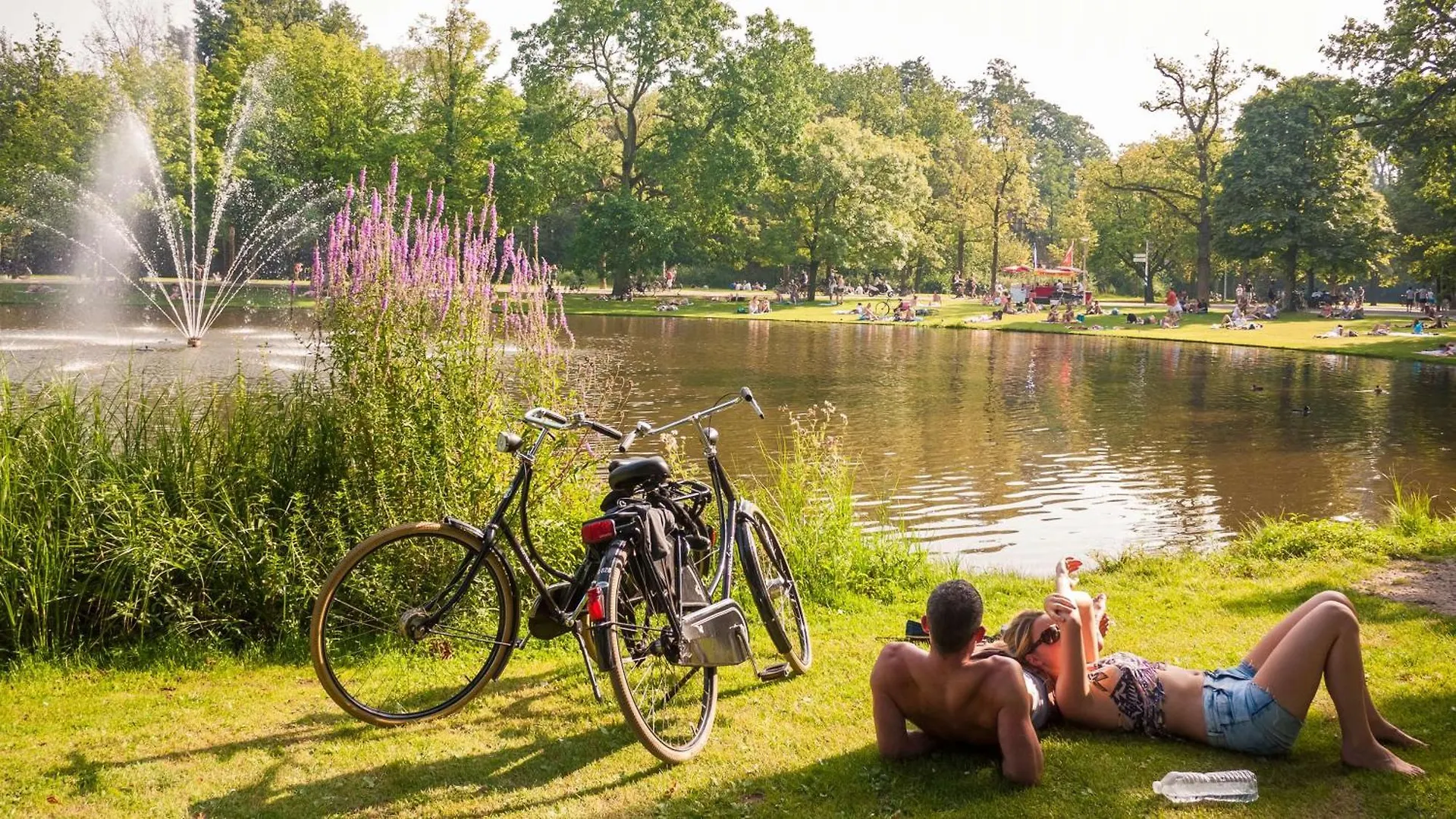 מלון Park Plaza Vondelpark אמסטרדם